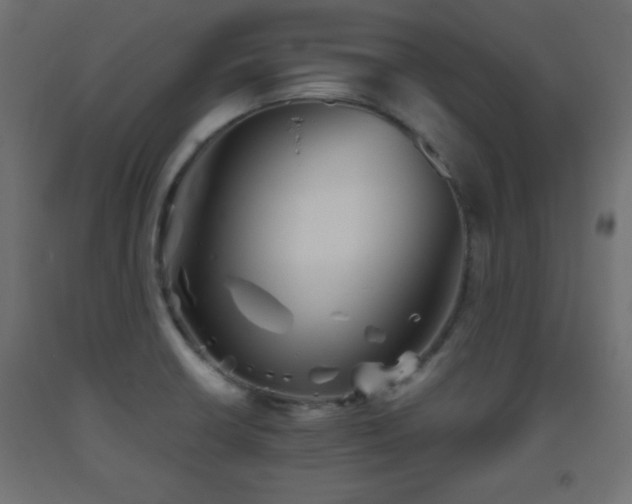 X0000093561426200710151058