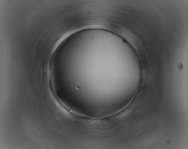 X0000093561428200710151058