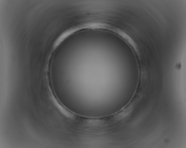 X0000093561429200710151058