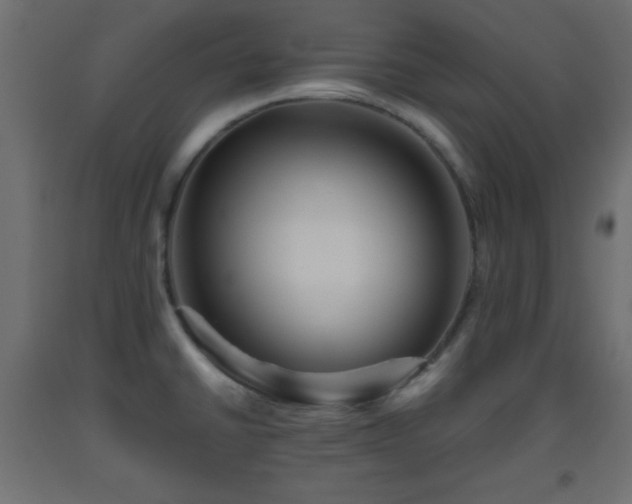 X0000093561430200710151058