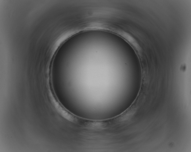X0000093561431200710151058
