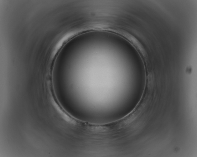 X0000093561432200710151058