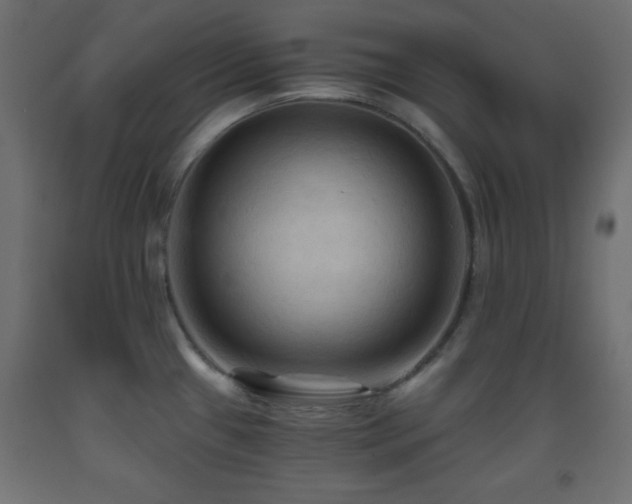 X0000093561433200710151058