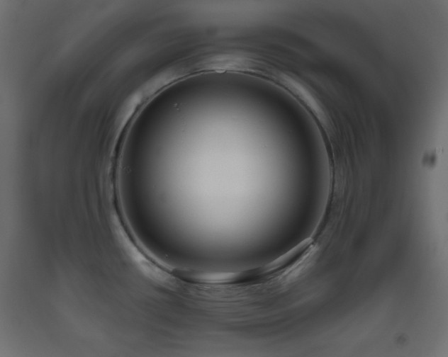 X0000093561434200710151058