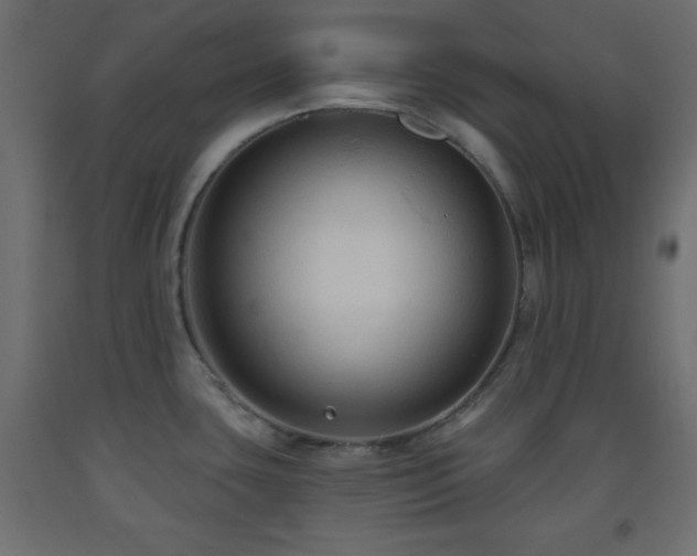 X0000093561435200710151058