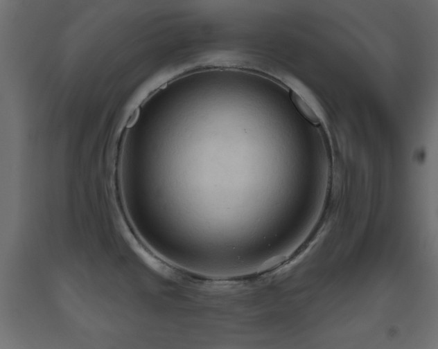 X0000093561437200710151058