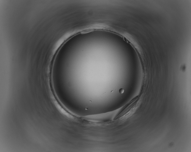 X0000093561438200710151058