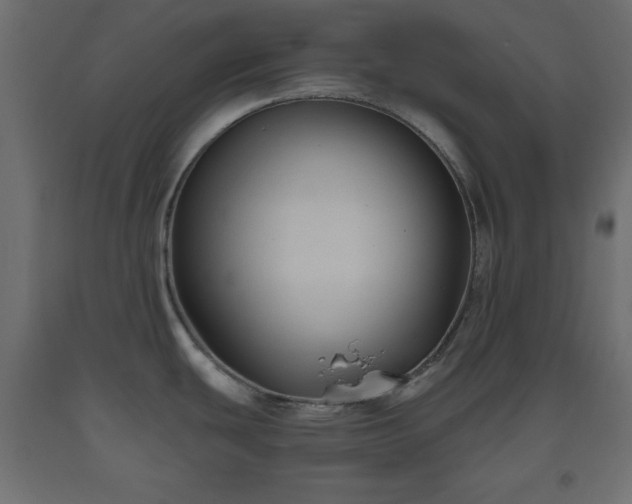 X0000093561439200710151058
