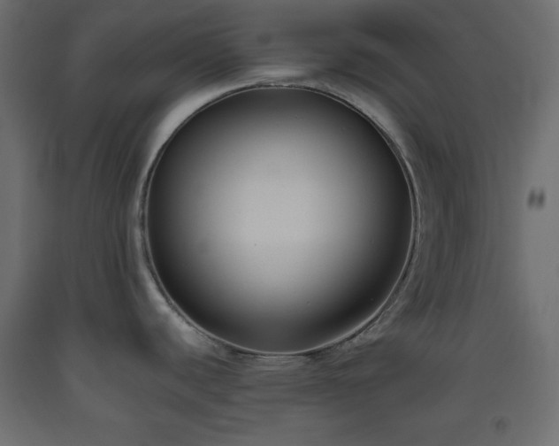 X0000093561440200710151058