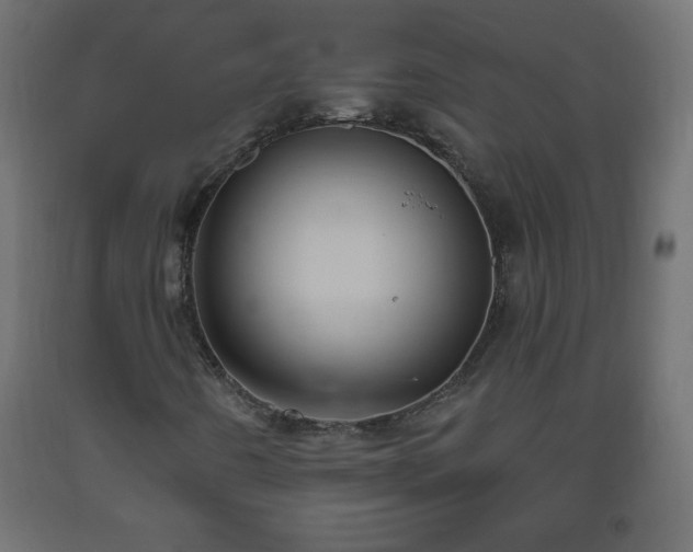X0000093561442200710151058
