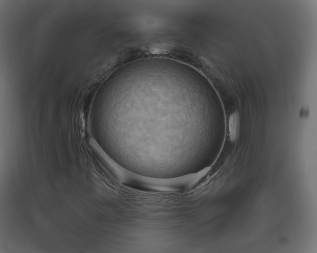 X0000093561443200710151058