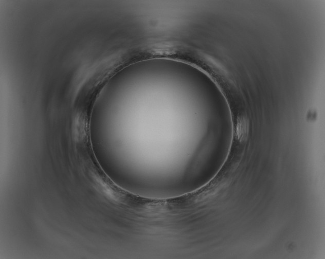 X0000093561444200710151058