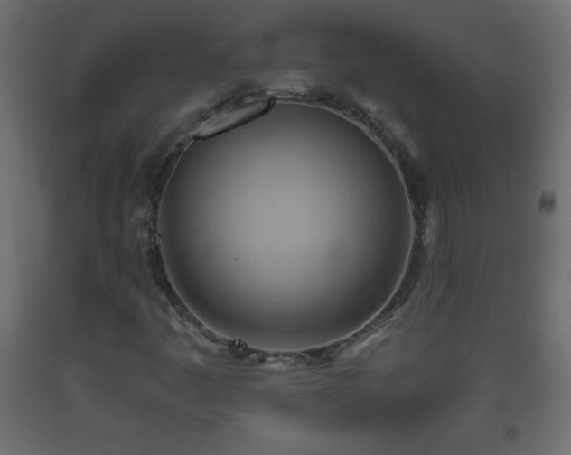 X0000093561445200710151058