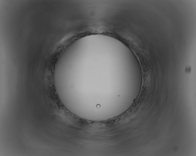 X0000093561446200710151058