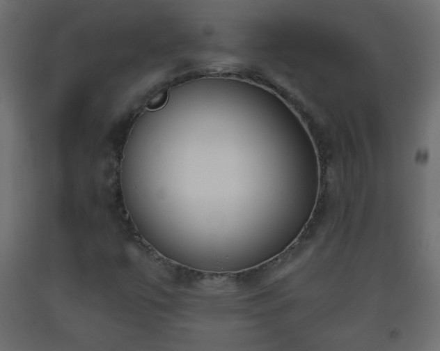 X0000093561447200710151058