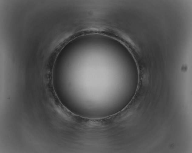 X0000093561448200710151058