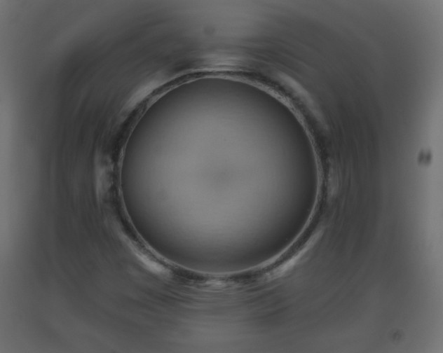 X0000093561449200710151058