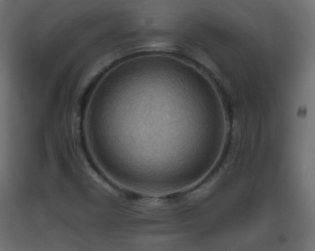 X0000093561450200710151058