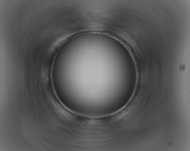 X0000093561451200710151058