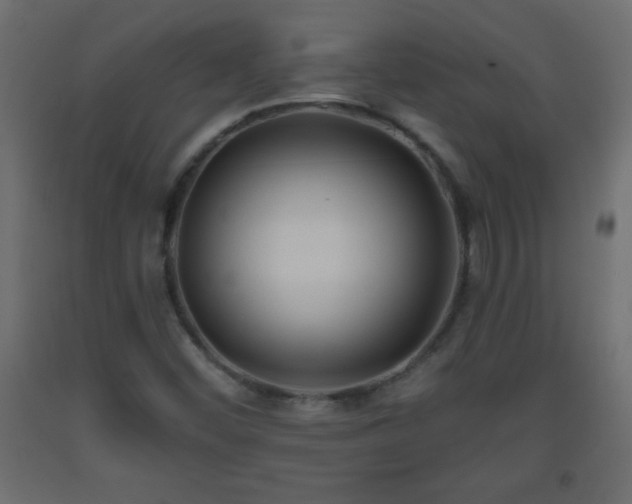 X0000093561452200710151058