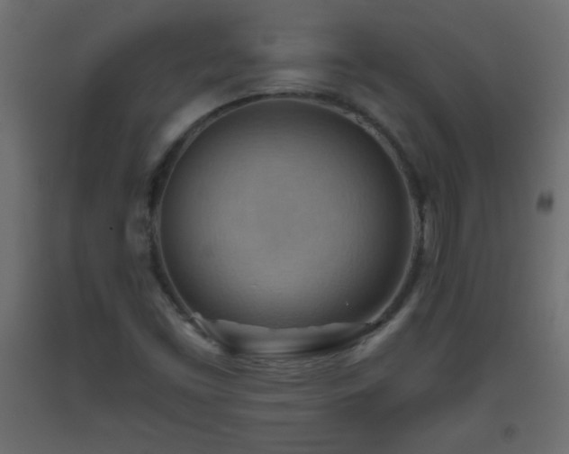X0000093561453200710151058