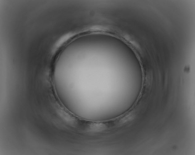 X0000093561454200710151058