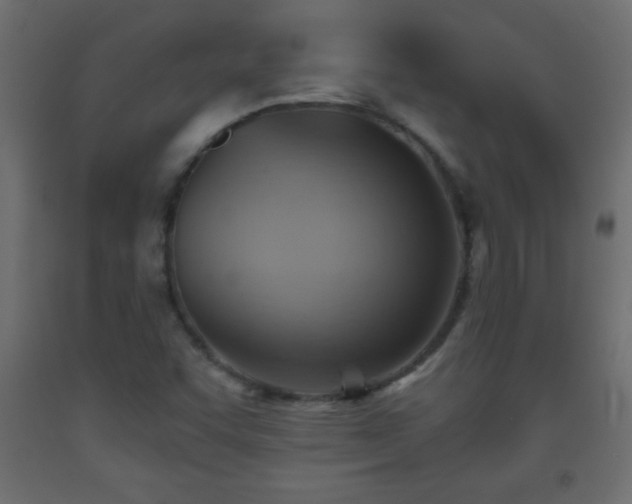 X0000093561455200710151058