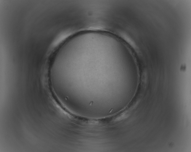X0000093561456200710151058