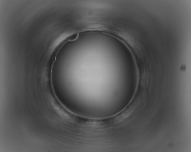 X0000093561458200710151058