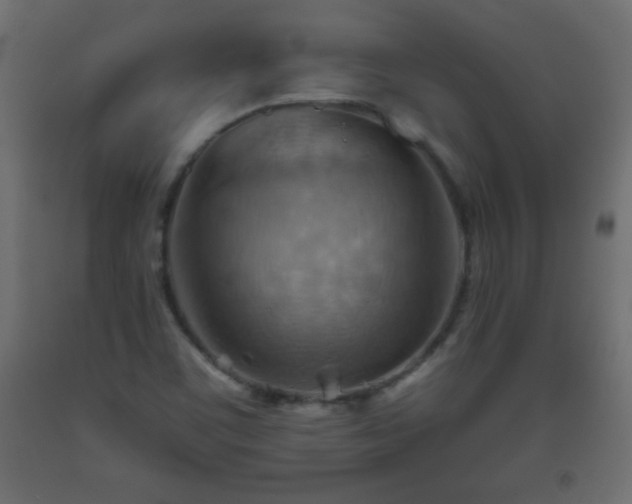X0000093561459200710151057