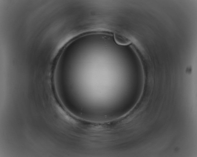 X0000093561460200710151057