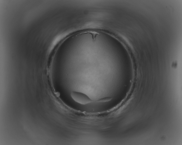 X0000093561461200710151057