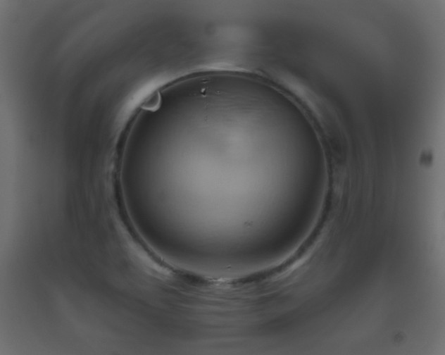 X0000093561463200710151057