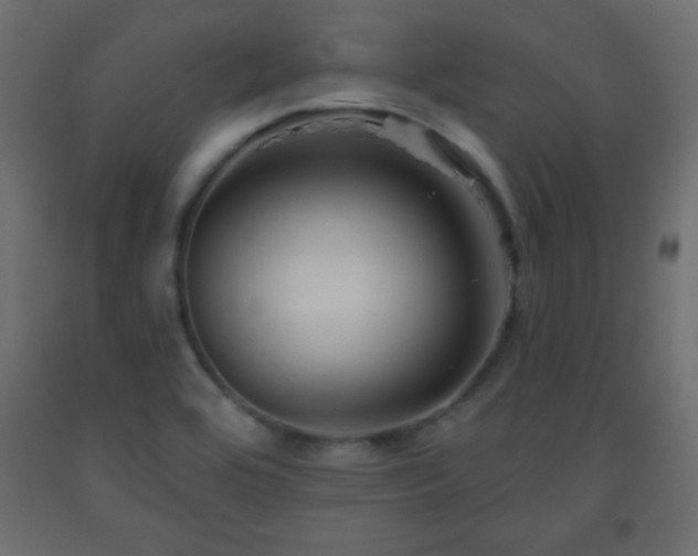 X0000093561464200710151057