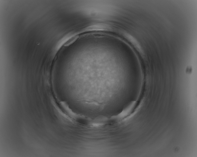 X0000093561465200710151057