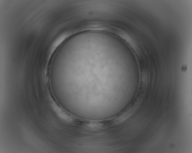X0000093561466200710151057