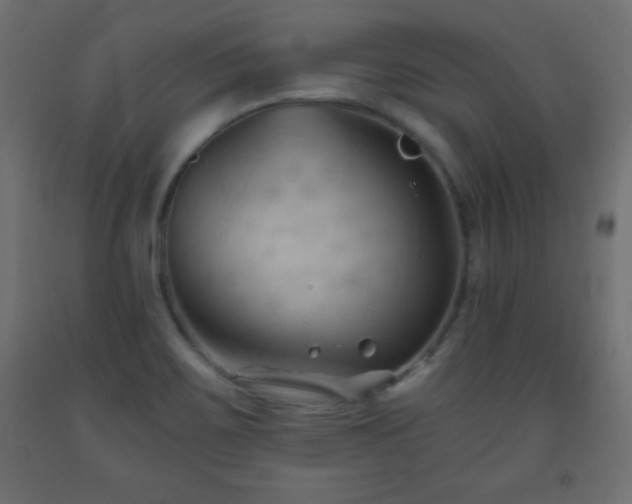 X0000093561467200710151057