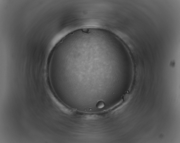 X0000093561469200710151057
