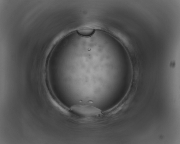 X0000093561471200710151057