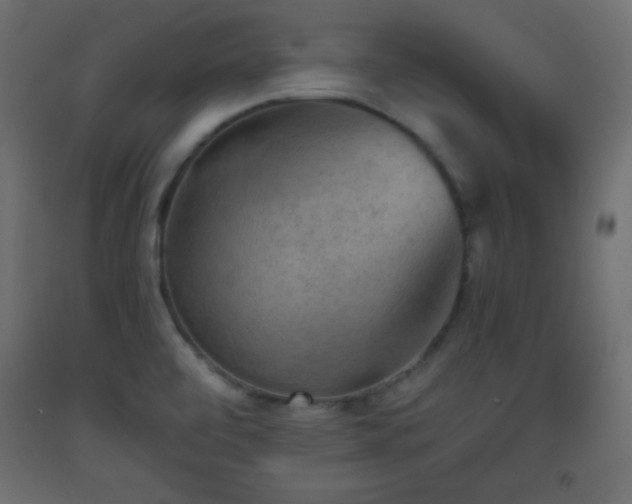 X0000093561472200710151057