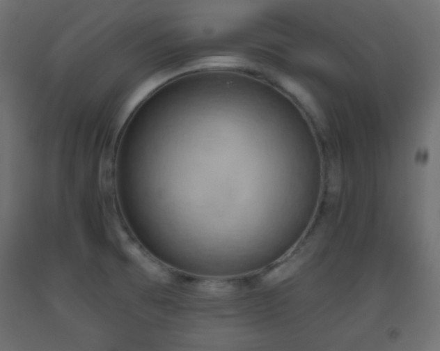X0000093561473200710151057