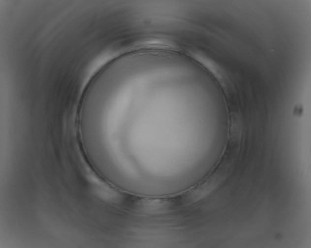 X0000093561474200710151057