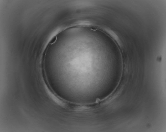 X0000093561475200710151057