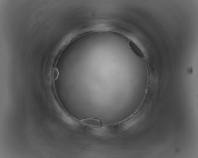 X0000093561477200710151057
