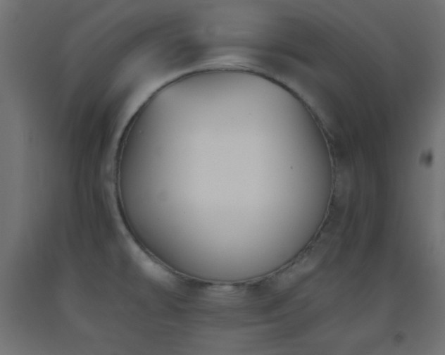 X0000093561478200710151057