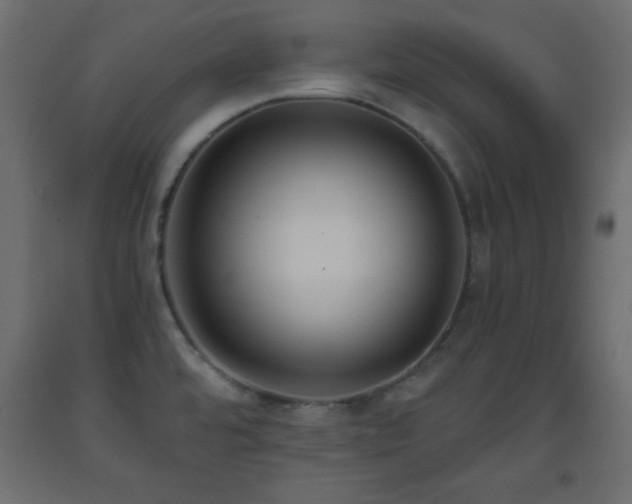 X0000093561480200710151057