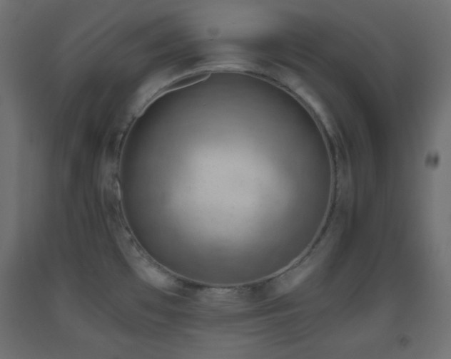 X0000093561481200710151057