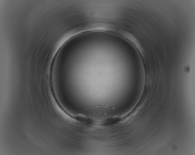 X0000093561483200710151057