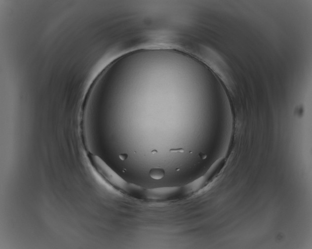 X0000093561484200710151057