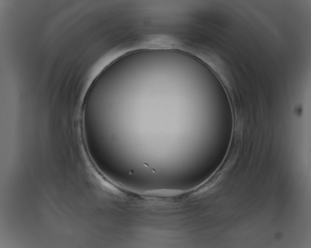 X0000093561486200710151057